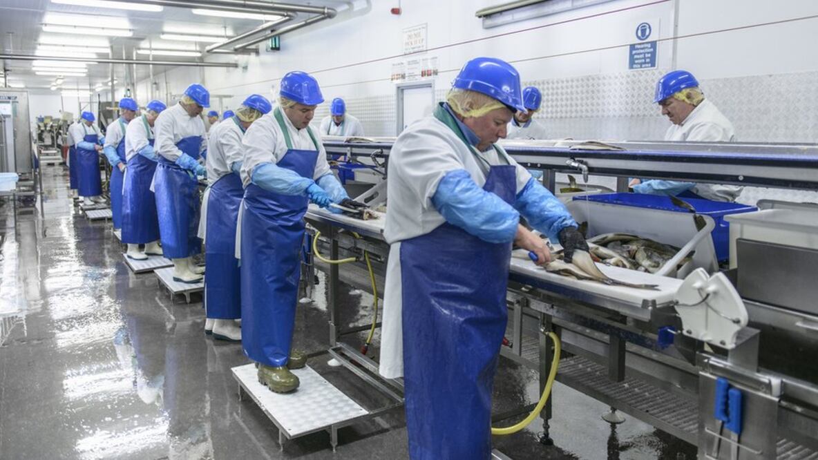 "Existe la idea de que todo el tiempo se produce algún tipo de progreso tecnológico. Eso es una fantasía"