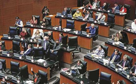 Senado crea Comisión de Defensa de los Consumidores