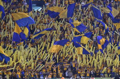 Tigres prepara entrenamiento de despedida previo a la final