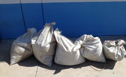 Decomisan autoridades 82 kilos de droga en Navolato