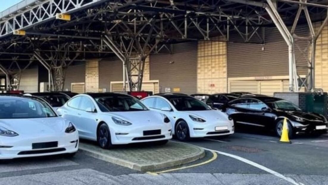 El duelo de baile de autos Tesla que incluso le gustó a Elon Musk