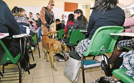 Mochila segura no evita violencia; criminaliza a los niños: especialista