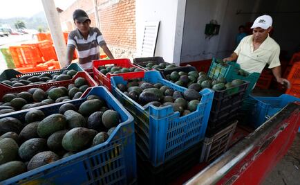 México, en el lugar 12 de exportación de alimentos frescos