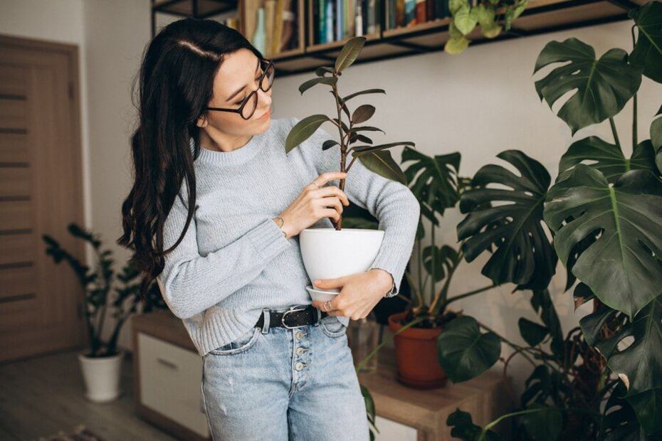 Conoce las plantas tóxicas que debes evitar tener en tu casa