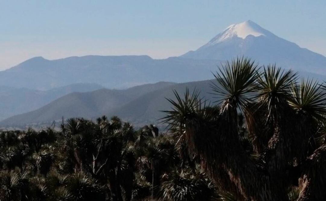 Foto: veracruz.gob.mx