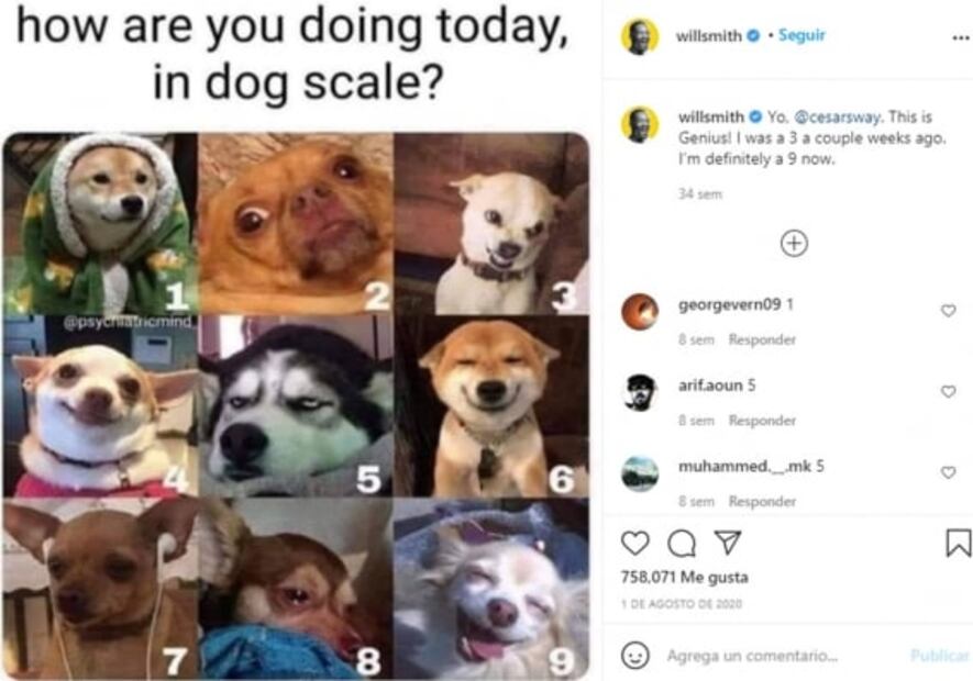 Amor y compromiso por los animales, estos famosos hacen todo por ellos