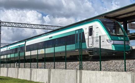 Buscan compensar daños ambientales del Tramo 5 sur del Tren Maya; ONG propone dos nuevas reservas ecológicas