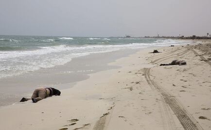 Hallan 117 cadáveres de inmigrantes en Libia