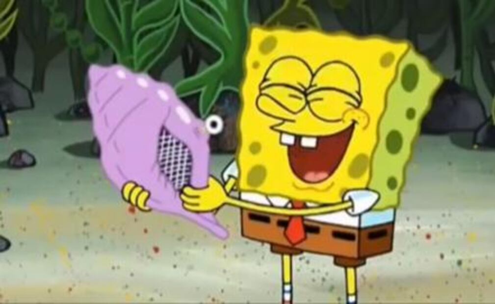 En 1999, Bob hizo su debut en Nickelodeon con el episodio “Help wanted”, convirtiéndose en Bob Esponja, personaje que, de aquí en adelante, adoptó su característica forma cuadrada.