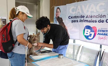 Vacunación antirrábica, revisiones y cortes de uñas gratis; así celebró Benito Juárez el Día Mundial de las Zoonosis