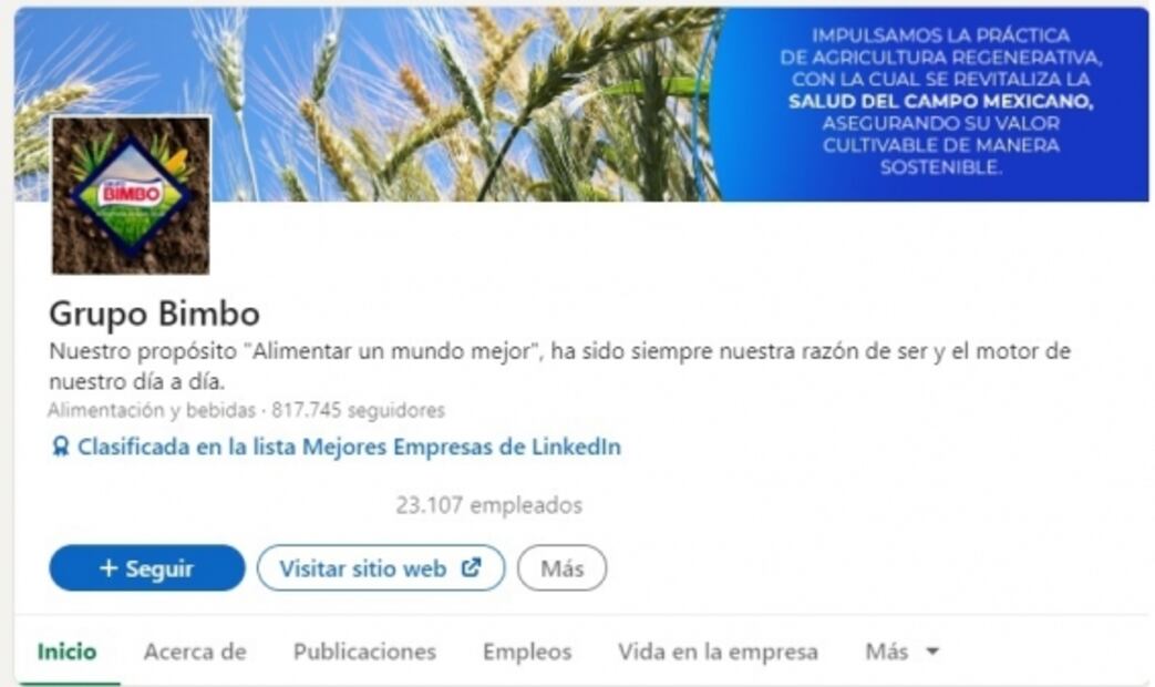 Estas son las mejores empresas mexicanas para trabajar, según LinkedIn