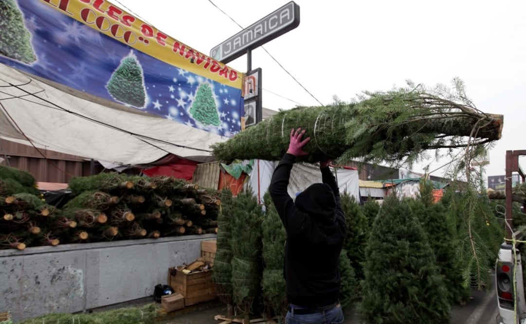 (Foto: Archivo/El Universal)