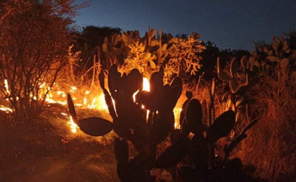 Los incendios de pastizales han arrasado con más de 2 mil hectáreas (11/04/2025). Foto: Especial