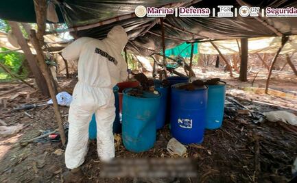 Desmantelan seis laboratorios para la elaboración de droga sintética; aseguran más de 4 toneladas de metanfetamina en Sinaloa