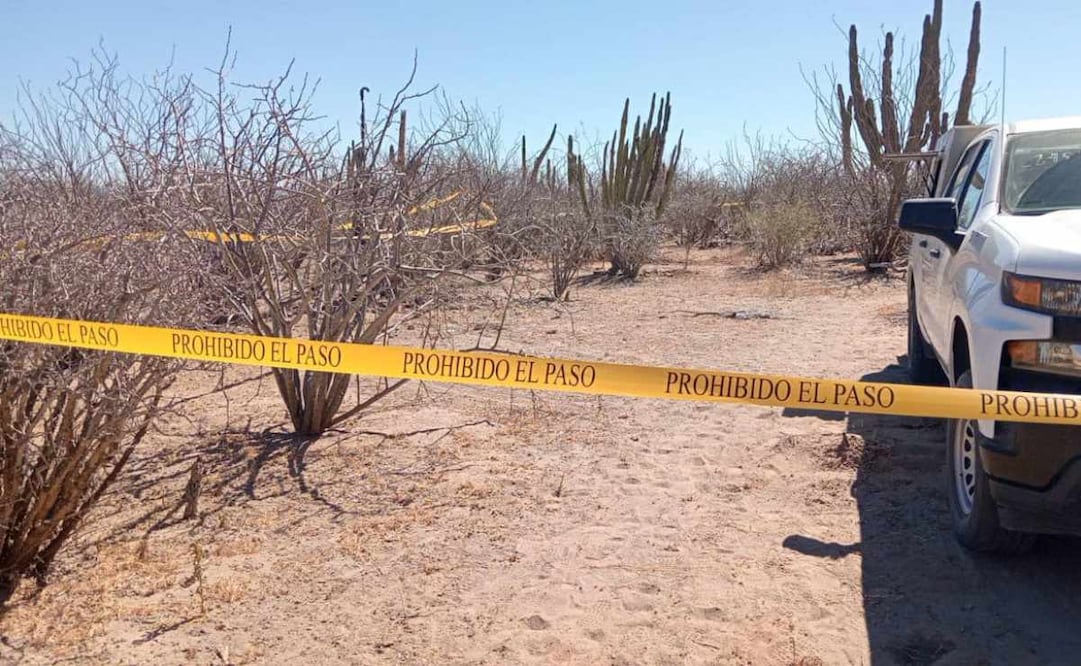 Los restos humanos fueron hallados en el ejido La Rosita, ubicado en el municipio de Reynosa, Tamaulipas (09/02/2025). Foto: Archivo
