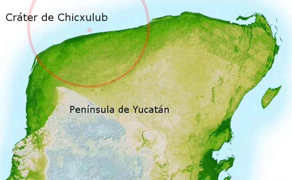 Localización estimada del Cráter de Chicxulub. Hoy en día es el segundo más antiguo y segundo más grande en la Tierra, detrás de la Bóveda de Vredefort, una zona de impacto en Johannesburgo, con 190 kilómetros de diámetro y 2 mil 23 millones de años, justo en la era Proterozoica. Foto: NASA/ESPECIAL/Wikimedia Commons.