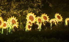 Glow Fest: el espectáculo de luz que llegará a Puebla