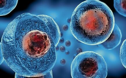 Científicos hallan una forma para "reprogramar" células madre