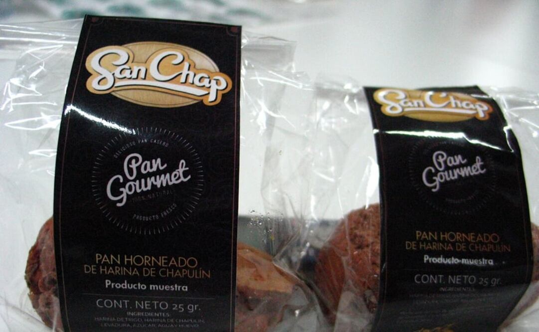 El término gourmet se propuso por el intenso sabor y aroma de este insecto. (FOTO: Conacyt)