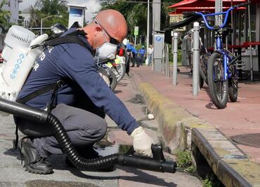 Florida confirma cinco nuevos casos de zika