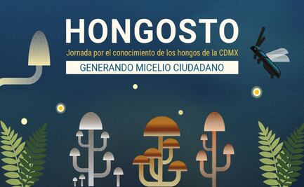 Sedema y UNAM impulsan “Hongosto”; lanzan 43 actividades para promover la conservación de los hongos en CDMX
