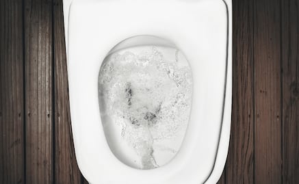 UNAM graduates create water-saving toilet