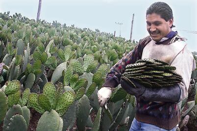 Con convenio impulsan seguridad alimentaria