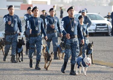 Alistan operativo por Fiestas Patrias en Hidalgo 