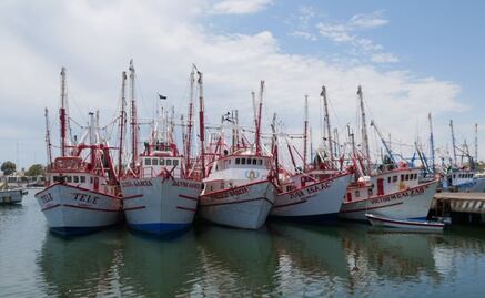 Northwestern states receive 66% of total fishing subsidies in Mexico