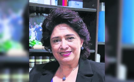 Pedirá IECM más recursos para la elección judicial