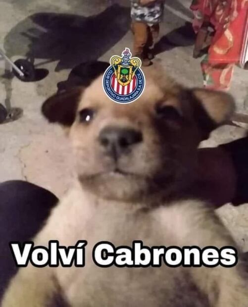 Chivas, víctima de los memes tras la derrota contra el Toluca