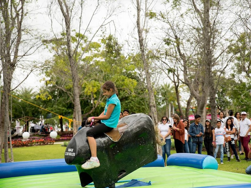 Foto: Jardines de México