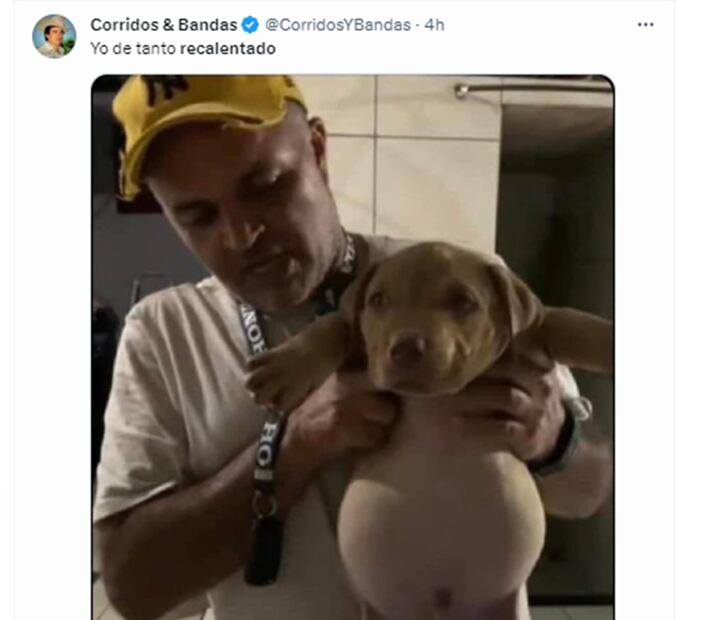 Memes recalentado. Foto: Captura de pantalla