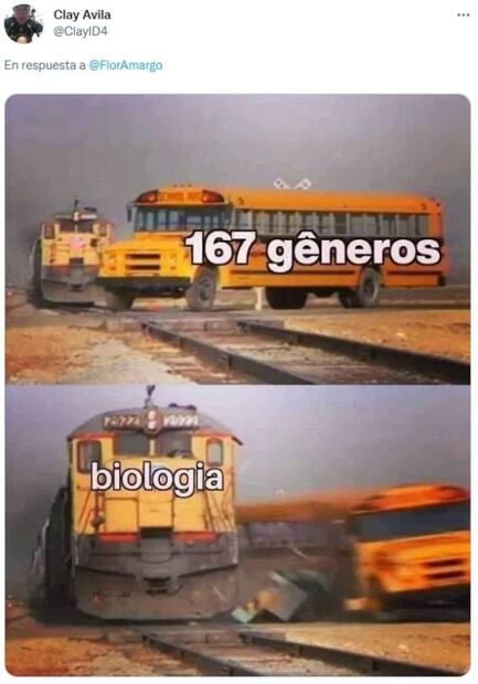 Flor Amargo desata memes por su explicación de que el cielo es "no binarie"