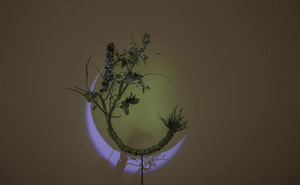 Foto: Gabriel Pano/EL UNIVERSAL.