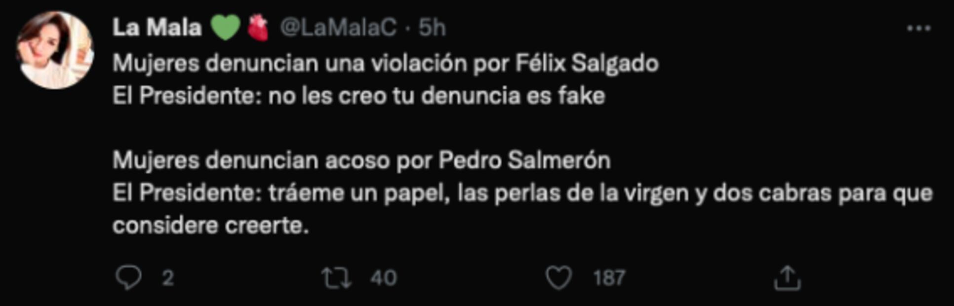 El acoso de Pedro Salmerón ha sido sistemático con muchas mujeres: Adriana Pineda