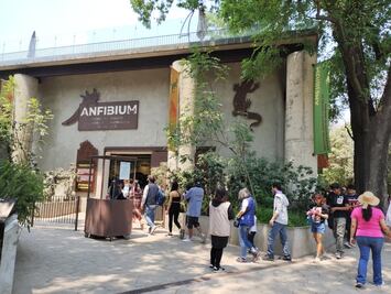 ¡Únete a la fiesta! Zoológico de Chapultepec cumple 102 años; Gobierno de CDMX invita a la ciudadanía a celebrar