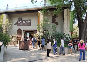 ¡Únete a la fiesta! Zoológico de Chapultepec cumple 102 años; Gobierno de CDMX invita a la ciudadanía a celebrar