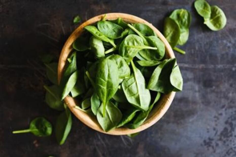 ¿Qué alimentos se deben comer con mayor frecuencia?