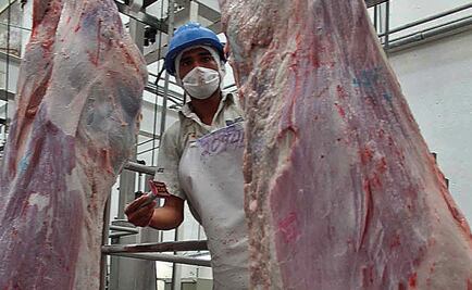 Consumo de carne de caballo no implica riesgo para la salud: especialistas