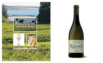 La región de Galicia es zona vitivinícola compleja. Conoce más de sus vinos