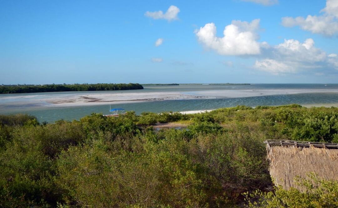 (Foto: Archivo - EL UNIVERSAL)