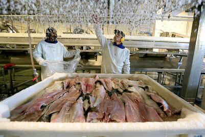 Del ártico a tu mesa: la travesía del bacalao noruego