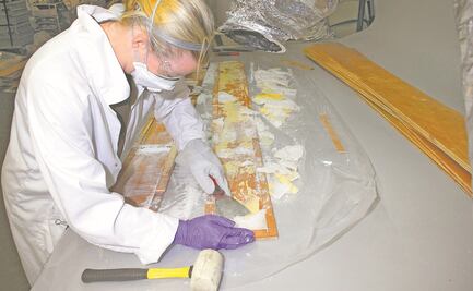 Pegan al medioambiente los laboratorios del narco