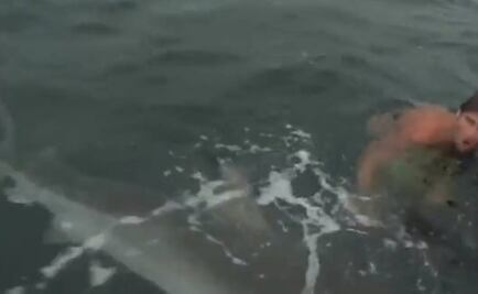 Captan en video el momento en que un tiburón queda cara a cara con un nadador 