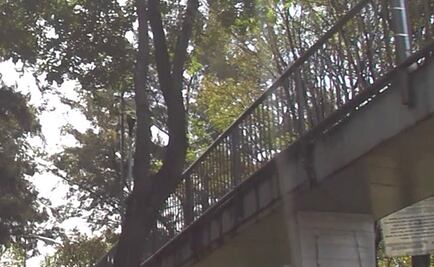 Encuentran a hombre colgado de un puente peatonal en Peralvillo