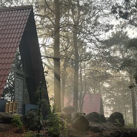 Qué hacer en el Bosque de Perlillas, a las afueras de CDMX