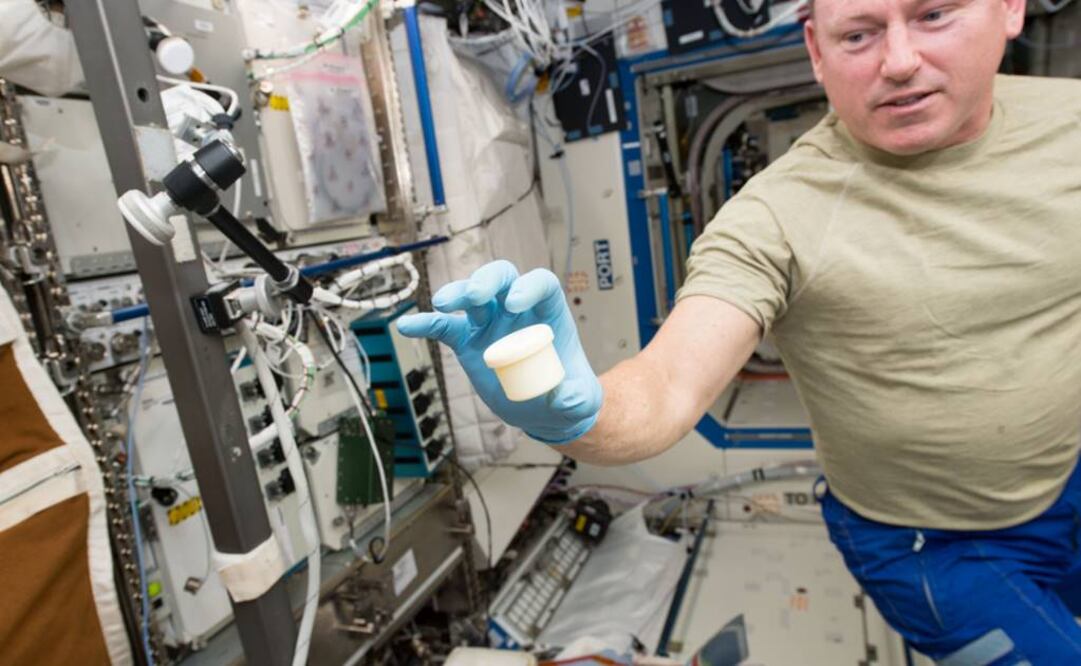 "Es algo esencial para futuras exploraciones del espacio exterior". Foto: NASA