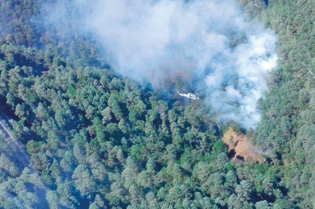 Personal del Ejército y de la policía estatal se dirigieron al sitio y comenzaron las labores de rescate de los tripulantes, tanto tierra como por aire, a bordo de un par de helicópteros (CORTESÍA TWITTER @2818KM)