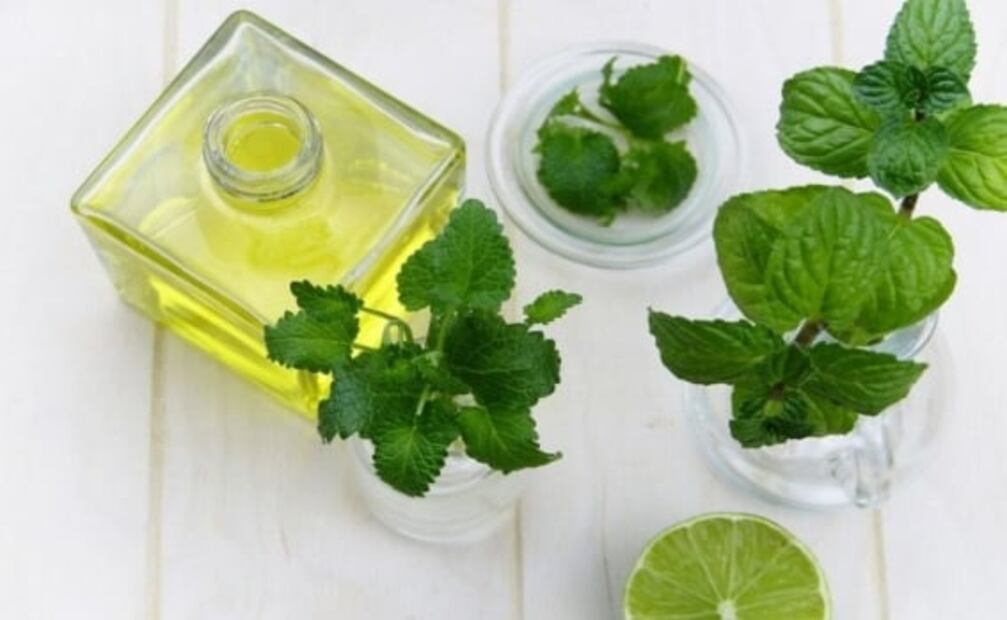Los ingredientes naturales más poderosos para la belleza